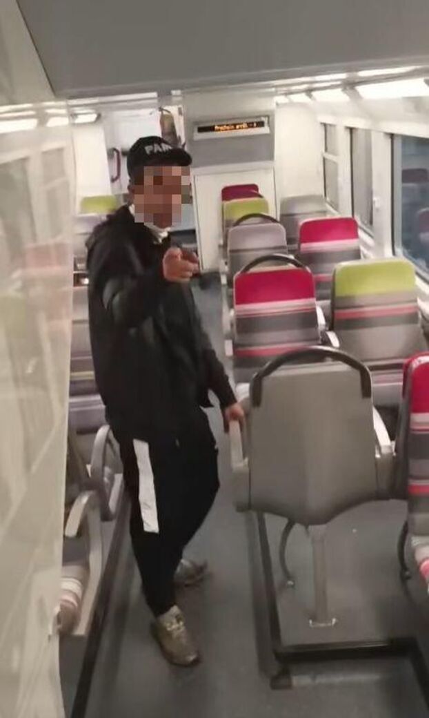 Une agression sanglante dans le RER A : une victime blessée et un inconnu en fuite